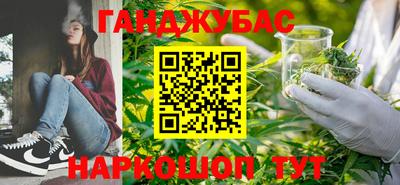 гидра Малгобек