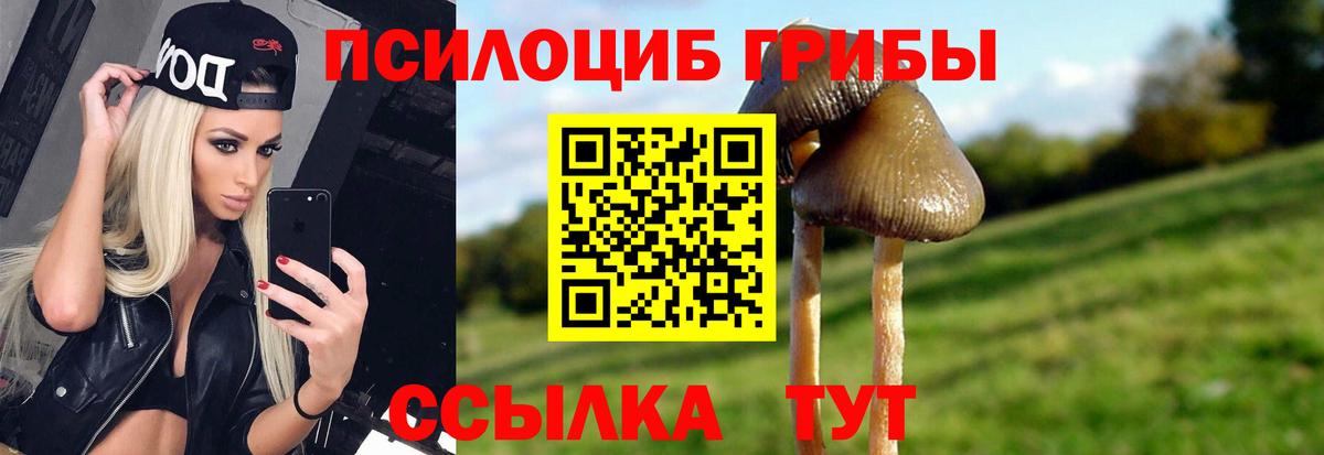 Галлюциногенные грибы мицелий  Вход с VPN  Псилоцибиновые грибы GOLDEN TEACHER  Дивногорск 